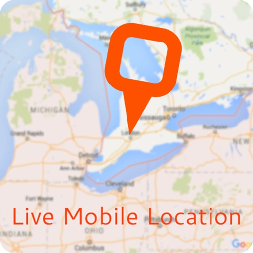 ícono Live Location, GPS Coordinates